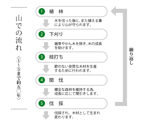 山林管理業務へ